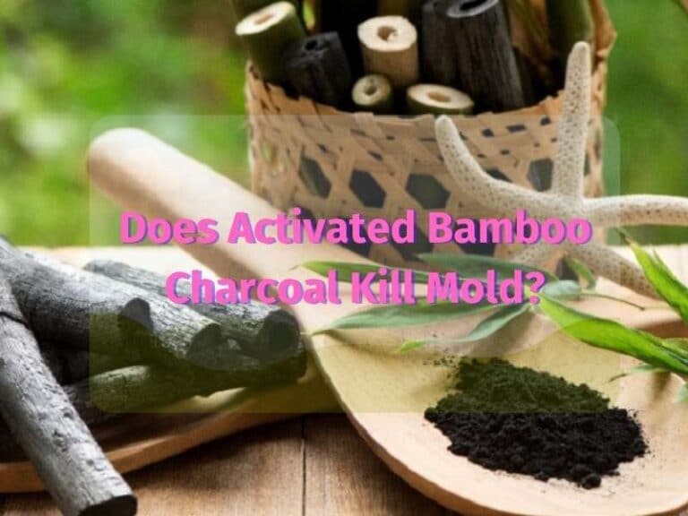 Does Activated Bamboo Charcoal Kill Mold?