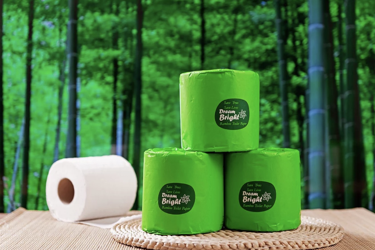 Bamboo paper can potentially replace regular paper on a large scale.