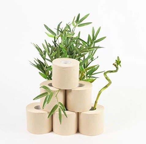 Bamboo Paper Toilet 2