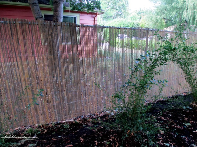 How To Install Bamboo Fence On Chain link 2