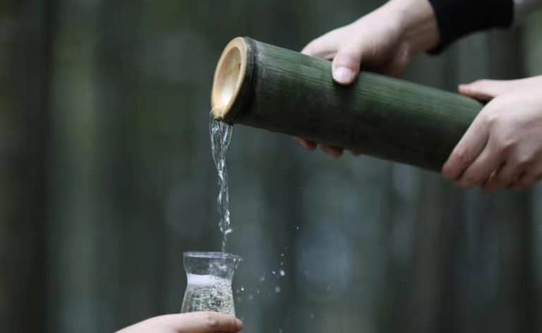 How To Make Bamboo Wine 1